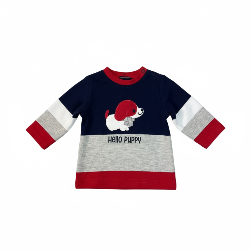 Pull chien