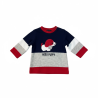Pull chien