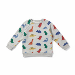 Sweat Dino H&M 3 ans